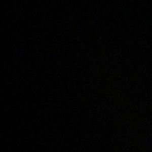 Meet your Posher, Maya